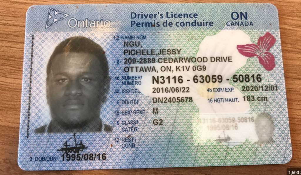 Canadian Driver’s License for sale