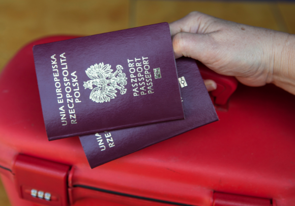 What is a Polish driving license?