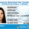Buy Argentina Driver’s License