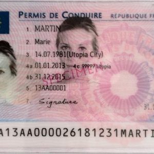 Buy Fake French driver’s license