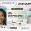 Buy North Carolina Driving License