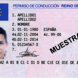 Spanish Driving License