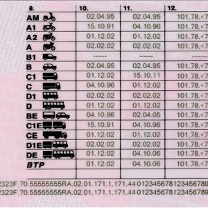 Spanish Driving License